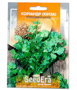 Изображение Кориандр Бородинский