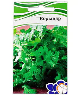 Изображение Кориандр