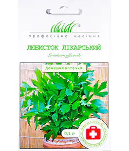 Изображение Любисток лекарственный
