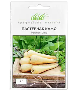Изображение Пастернак Камо