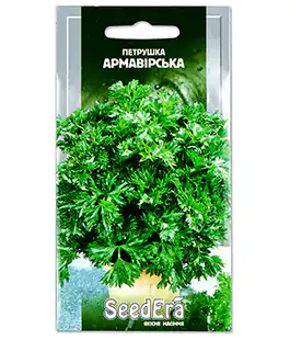 Изображение Петрушка Армавирская листовая