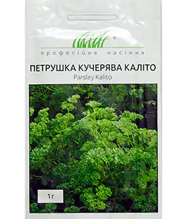 Петрушка Калито кучерявая