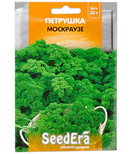 Петрушка Москраузе кудрявая