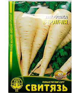 Петрушка корневая Берлиния