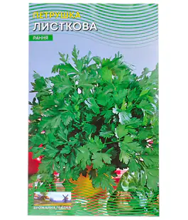 Петрушка листовая