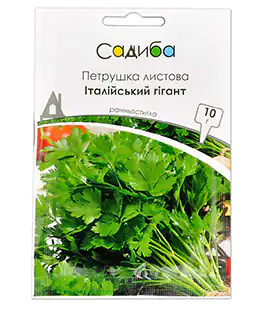 Петрушка Итальянский Гигант
