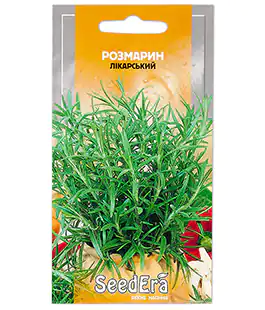 Розмарин Лекарственный