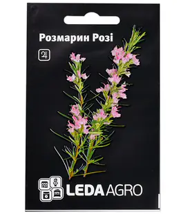 Розмарин Розі