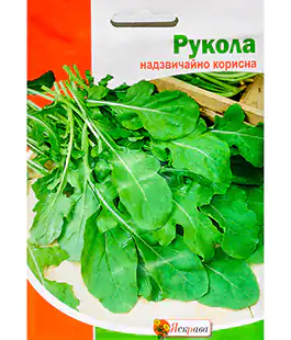 Рукола