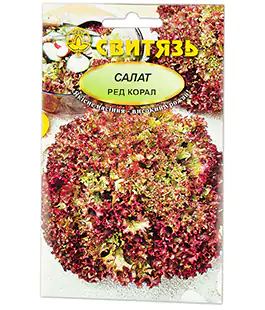 Салат Ред Корал