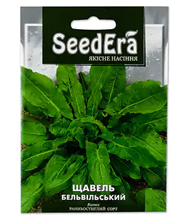 Изображение Щавель Бельвійський
