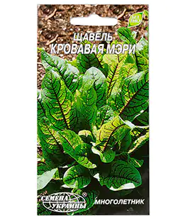 Изображение Щавель Кровавая Мери