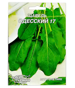Изображение Щавель Одесский 17