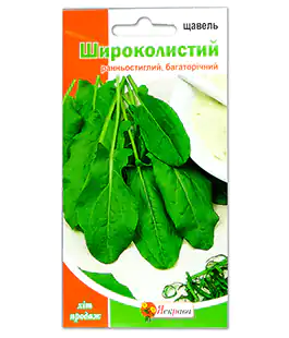 Изображение Щавель Широколистний