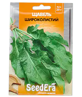 Изображение Щавель Широколистный