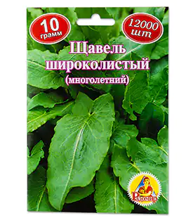 Изображение Щавель Широколистный