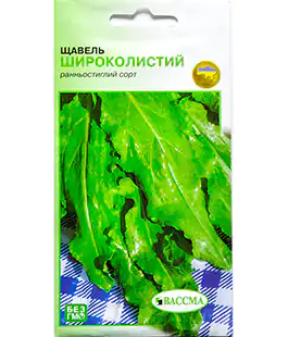 Изображение Щавель Широколистный