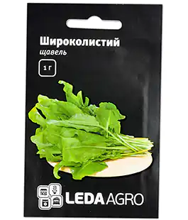 Изображение Щавель Широколистный