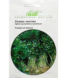 Сельдерей Листовой