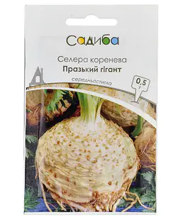 Сельдерей Пражский Гигант