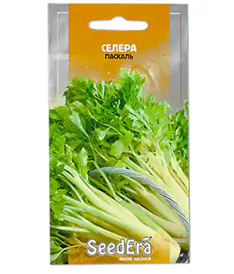 Сельдерей черешковый Паскаль