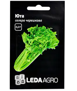 Сельдерей черешковый Юта