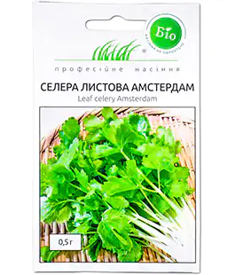 Сельдерей листовой Амстердам