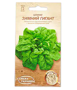 Изображение Шпинат Зимний Гигант