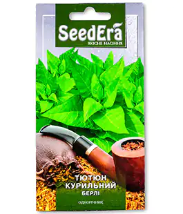 Тютюн Берлі