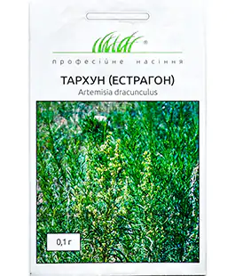 Изображение Тархун (Естрагон)