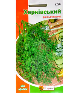 Изображение Укроп Харьковский