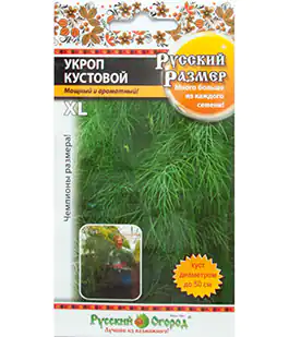 Изображение Укроп Кустовой