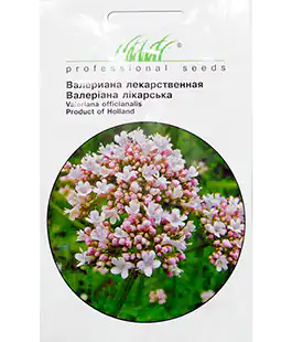 Изображение Валериана лекарственная