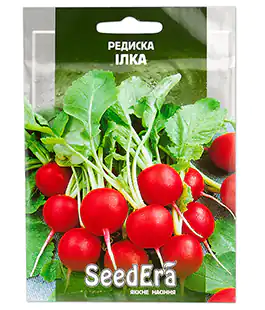 Редис Илка