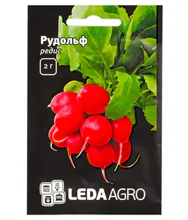 Редис Рудольф