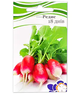 Насіння редиски 18 днів