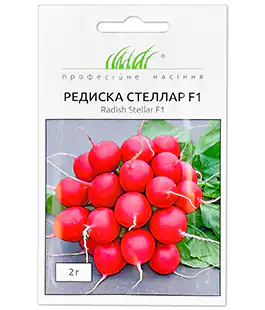 Семена редиса Стеллар F1