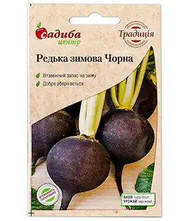 Редька зимняя Черная