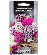 Гвоздика Турецька Пінокіо