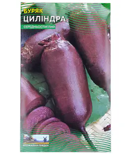 Буряк Циліндра