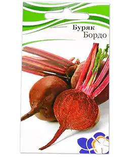 Свекла столовая Бордо