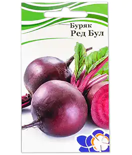 Буряк столовий Ред Бул