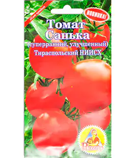 Семена помидор Санька