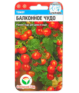 Томат Балконное чудо
