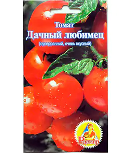 Томат Дачный любимец