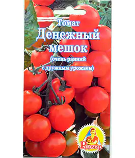 Томат Денежный мешок