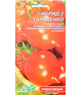 Томат Гибрид Тарасенка-2