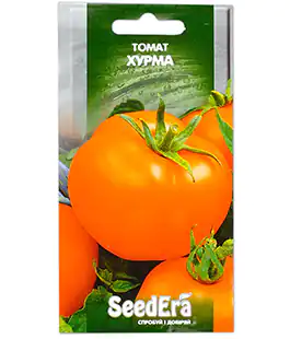 Томат Хурма