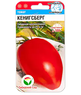 Томат Кенигсберг
