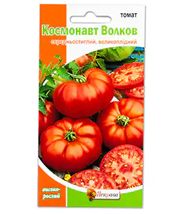 Томат Космонавт Волков